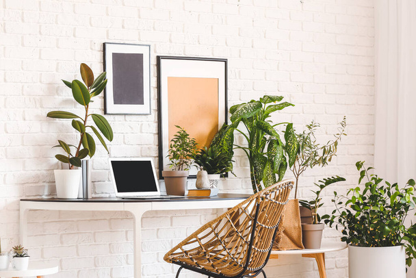 Kényelmes munkahely modern laptoppal és szobanövényekkel a fehér téglafal közelében - Fotó, kép