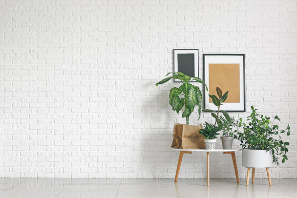 Green houseplants with table near white brick wall - Foto, afbeelding
