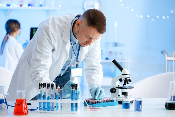 Scientist working with sample in laboratory - Photo, Image