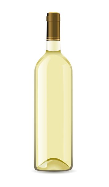Bottle with white wine - Vector, Image