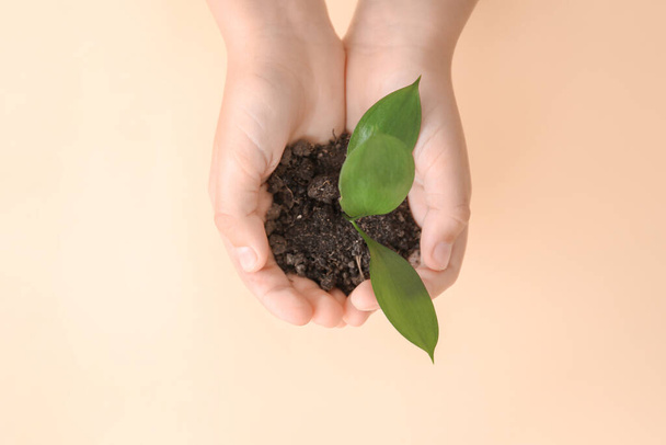 Hands of child with small plant on color background - Foto, afbeelding