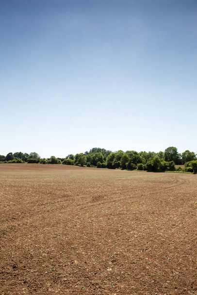 panoramiczny krajobraz pola bez śladów uprawy roślin uprawnych  - Zdjęcie, obraz