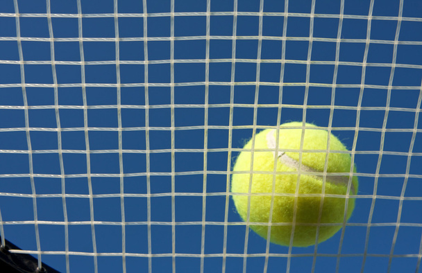 Tennis Ball on the racket strings - Foto, Imagen