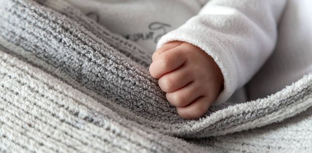 Baby's baby hand close-up. The child sleeps and put his hand on the gray plaid. . High quality photo - Photo, Image