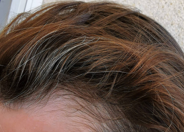 седые пряди волос нуждаются в парикмахерской
 - Фото, изображение