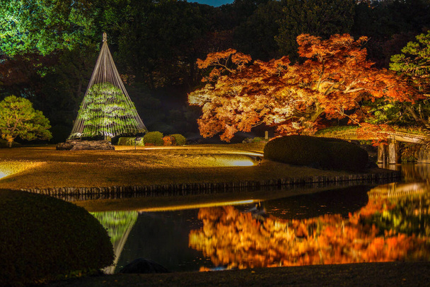 Осінь залишає зображення японського саду. - Фото, зображення