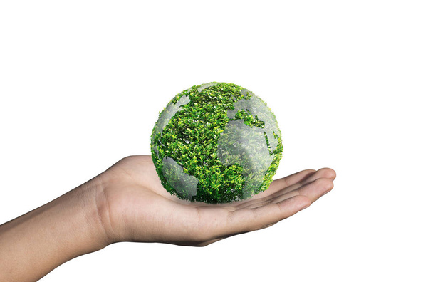 Concept de journée mondiale de l'environnement avec plantation d'arbres et terre verte sur mains volontaires. isolé sur fond blanc - Photo, image