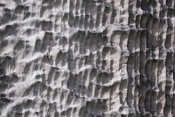 Textura de madeira de alta resolução de madeira cinza marrom preto linhas brancas ramo
 - Foto, Imagem