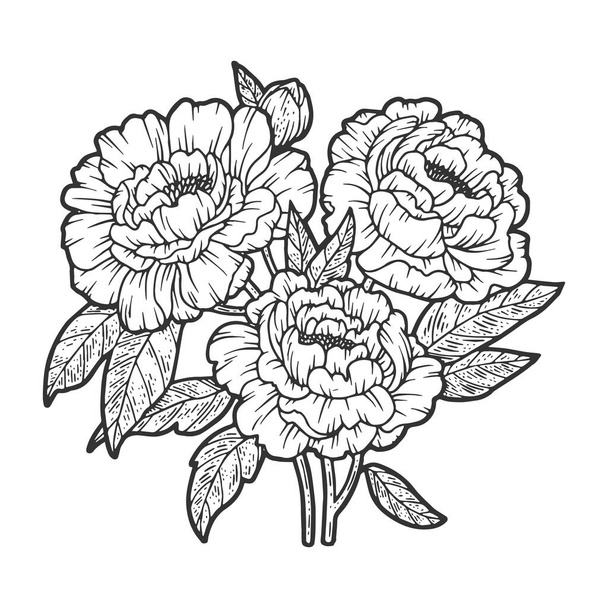 peony flower sketch engraving vector illustration. T-shirt apparel print design. Scratch board imitation. Black and white hand drawn image. - Вектор, зображення