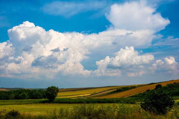 paisagem com campo verde e céu azul - Foto, Imagem