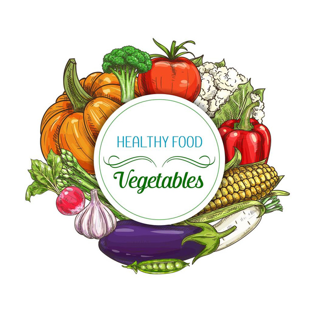 Vektorskizze für frisches Gemüse und Gemüse vom Bauernhof. Tomaten, Paprika, Knoblauch und Rettich, Brokkoli, Kürbis, Blumenkohl und Auberginen, Mais, grüne Erbsen, Spargel, handgezogenes Gemüse - Vektor, Bild