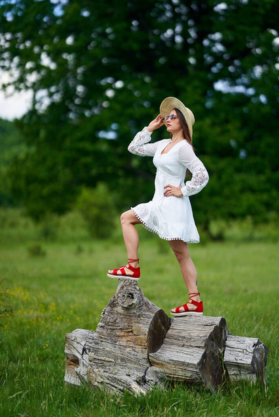 Gorgeous beauty model in summer dress posing outdoor in an oak forest - Foto, Imagen