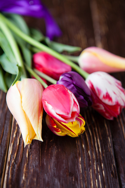 bouquet of fresh tulips - Foto, Bild