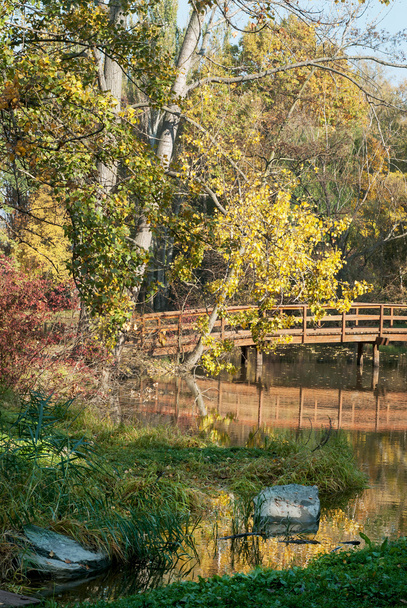 Ponte de madeira e lago na natureza outono
 - Foto, Imagem