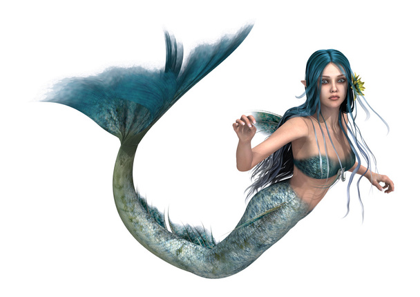 Mermaid - Фото, зображення