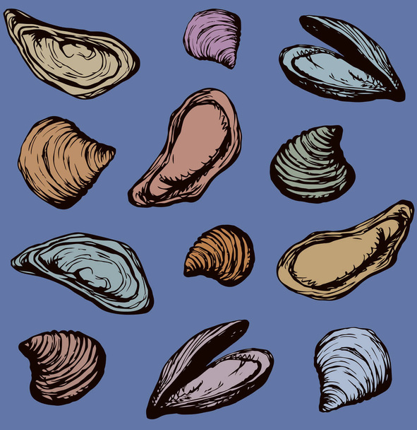 Big fresh perl Ostreidae mollusc on blue backdrop. Outline black ink hand drawn french diet delicacy dining icon sign design sketchy in retro art cartoon doodle engraved style pen on navy paper - Vector, Image