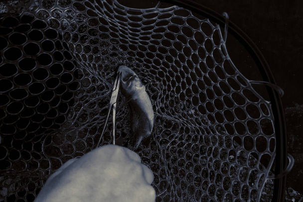 Рыбалка форели на озере
 - Фото, изображение