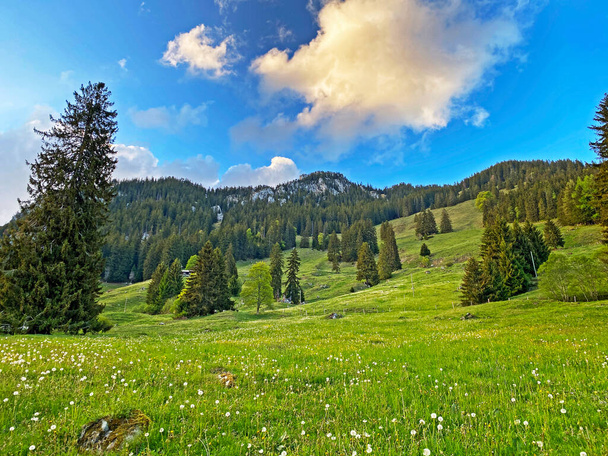 Альпийские пастбища и луга на склонах массива Пилатус и в альпийских долинах у подножия горы, Альпнах - кантон Обвальден, Швейцария (Schweiz
) - Фото, изображение