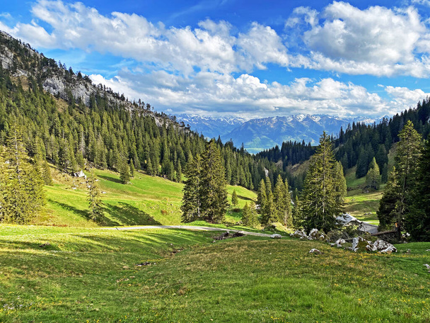 Альпійські пасовища і пасовища на схилах масиву Пілатус і в альпійських долинах біля підніжжя гори Альпнах - Кантон Обвальден (Швейцарія).) - Фото, зображення