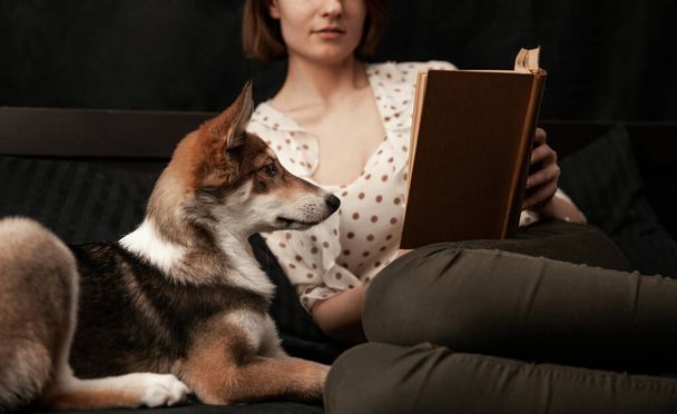 Girl lying in bed reading a book for a dog - Foto, imagen