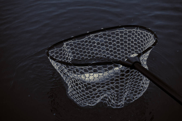 Pike halászat a tavon - Fotó, kép
