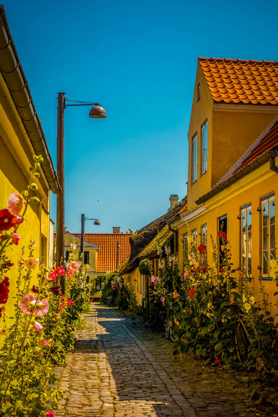 Beautiful Danish architecture in a picturesque village - Photo, Image