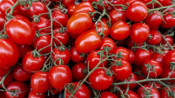 Tomates cerises sur une branche. Fond de tomate. Tomates juteuses mûres pour salades et restaurants sur le comptoir du marché. Photographie de vue du dessus de tomates cerises avec espace de copie - Photo, image