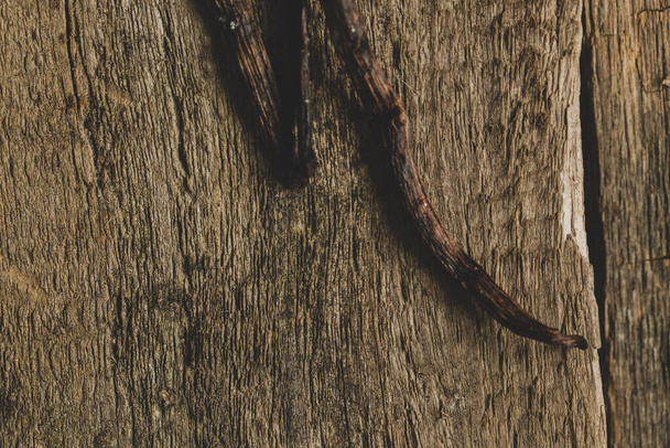 Vanilla stick on the table - Фото, зображення