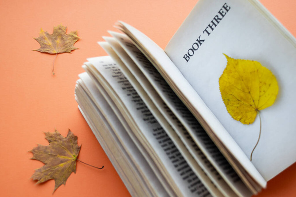 Moscou, Rússia, agosto de 2019: Close-up do livro aberto. Em uma página em branco com a inscrição "Livro três" - folha amarela secada. No contexto cor-de-laranja encontram-se folhas de bordo secas. O conceito de Outono, Outono, depressão, sonhos
 - Foto, Imagem