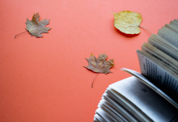Close-up of a fragment of a half-open book, between the sheets of which lies a dried yellow sheet. On orange backdrop of lie dry maple leaves. The concept of Autumn, fall, depression, sadness - Photo, Image