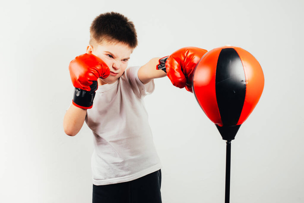 serieuze jongen in bokshandschoenen training op grijze achtergrond - Foto, afbeelding