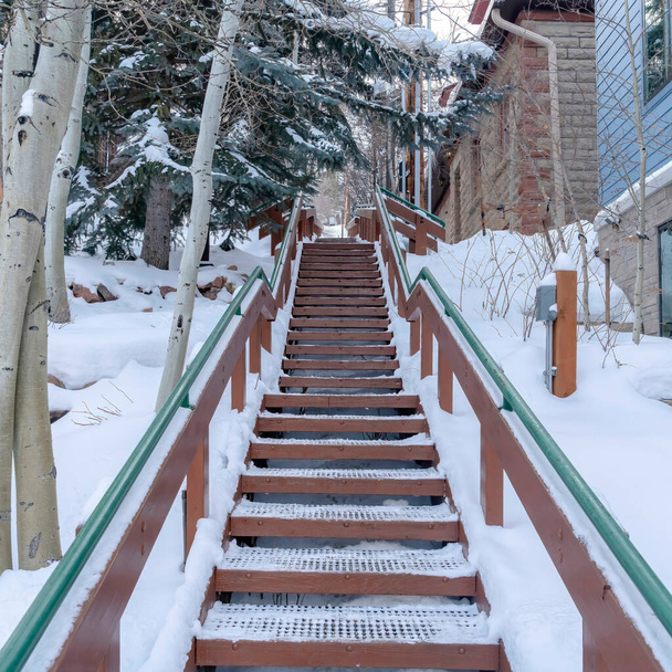 Square Grate metal stairway amid trees and building on scenic snowy hill in winter - Photo, Image
