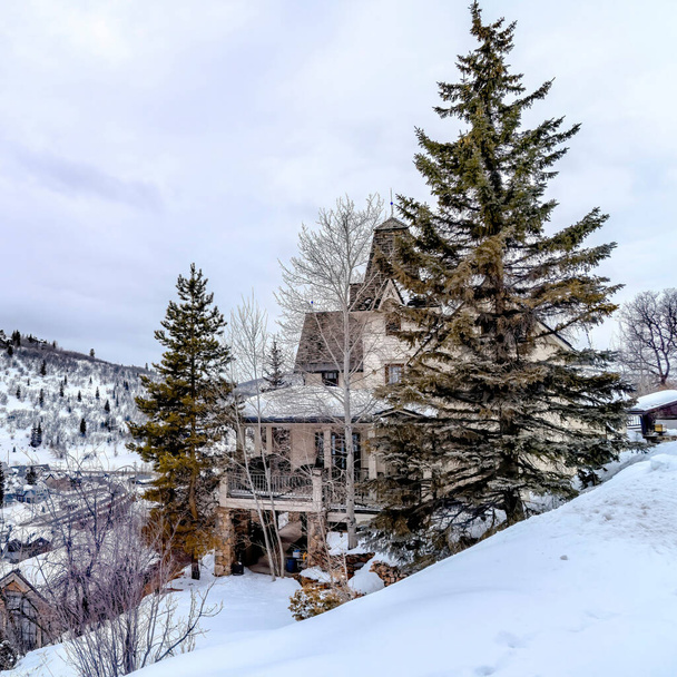 Square Evergreens ja taloja luminen kukkula Park City Utah katsottuna talvella - Valokuva, kuva
