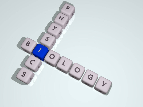 BIOLOGY PHYSICS combined by dice letters and color crossing for the related meanings of the concept - Photo, Image