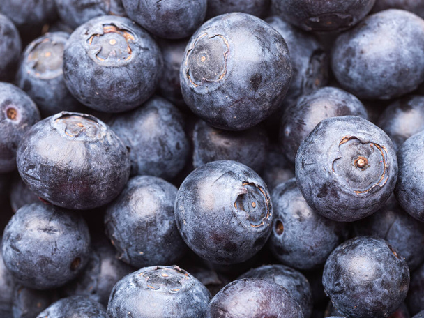 Freshly picked blueberries close up picture - Φωτογραφία, εικόνα