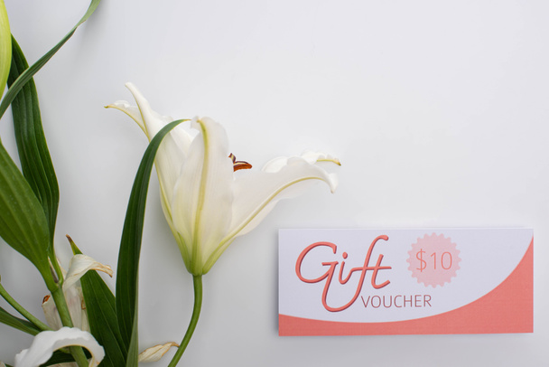 Top view of gift voucher with 10 dollars sign near lily on white background - Photo, Image
