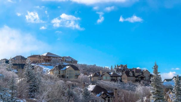 Panorama crop Wasatch Mountains winter scenery of houses amid evergreens and snowy terrain - Photo, Image