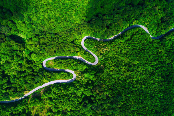 Vista aérea sobre el camino de montaña pasando por el paisaje forestal - Foto, Imagen