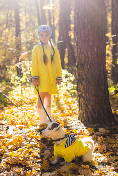 Dítě si hraje v podzimním parku s Jackem Russellem teriérem. Kid a Jack Russell teriér pes. - Fotografie, Obrázek