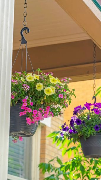 Vertical Colorido vasos flores penduradas em correntes no alpendre de uma linda casa
 - Foto, Imagem
