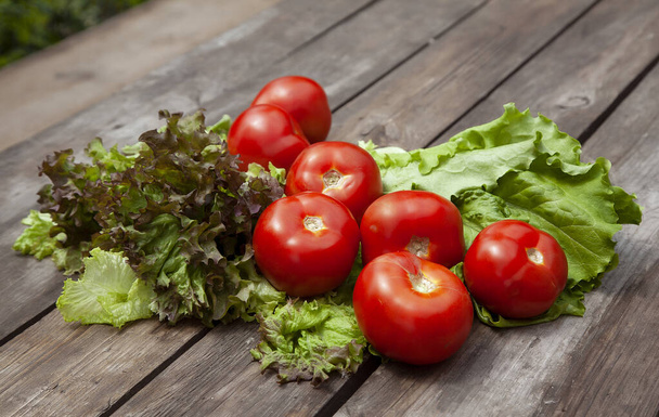 Egészséges ételek Friss tanyasi zöldségek paradicsom, uborka, saláta lola rossaa és lola bianca, zöldhagyma, káposzta. Nem GMO ökológiai zöldségek, 100% vegán vegetáriánus fogyókúra Fa háttér - Fotó, kép