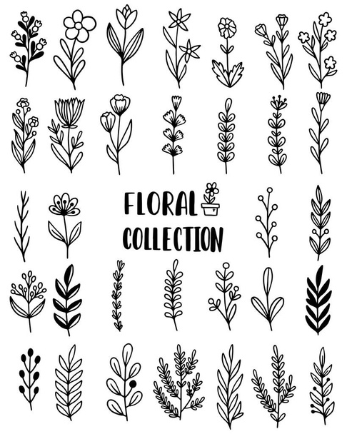 collection forest fern eucalyptus art foliage natural leaves herbs in line style. Decorative beauty elegant illustration for design hand drawn flower - Vektör, Görsel