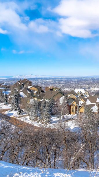 Vertical frame Wasatch Mountains in winter with homes on a neighborhood amid nature scenery - Photo, Image