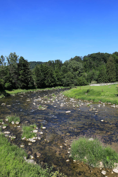 Sihl-joki Sihlbruggin kylän lähellä, Sveitsi  - Valokuva, kuva