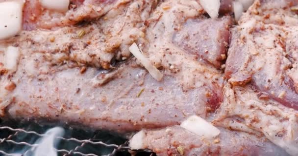 Raw lamb leg on the barbecue, the meat seasoned with garlic, onions, lemon, ginger. The meat smoking on grill looks delicious. - Footage, Video