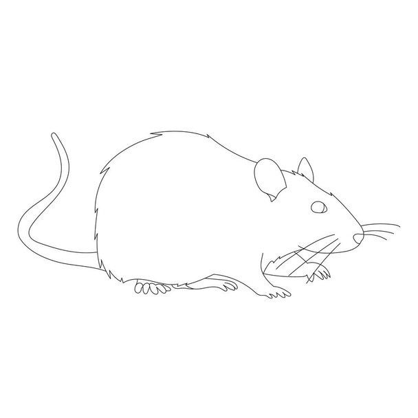 white background, rat, mouse, outline, set - Vector, Image