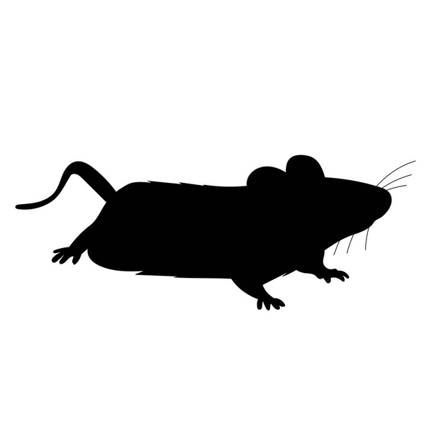 bílé pozadí, černá silueta krysy, myš - Vektor, obrázek