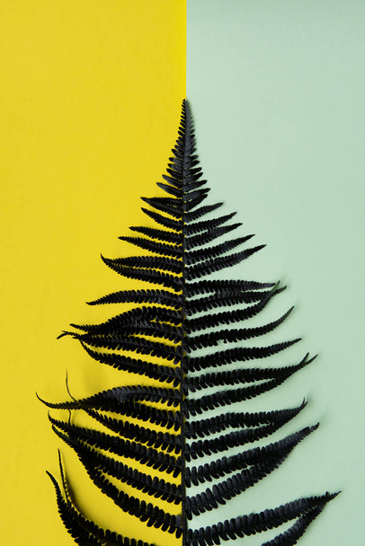 Black spray painted fern leaf on a blue and yellow pastel background - Photo, Image