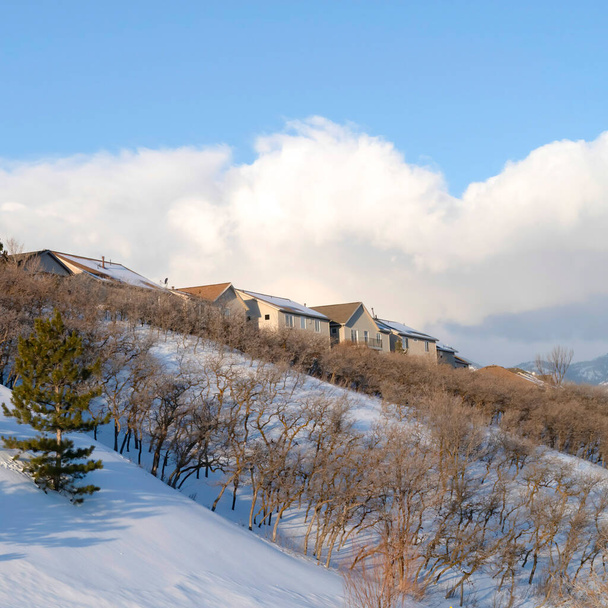 冬に雪で覆われたワサッチ山脈の自然のままのエーカーの広場の家 - 写真・画像
