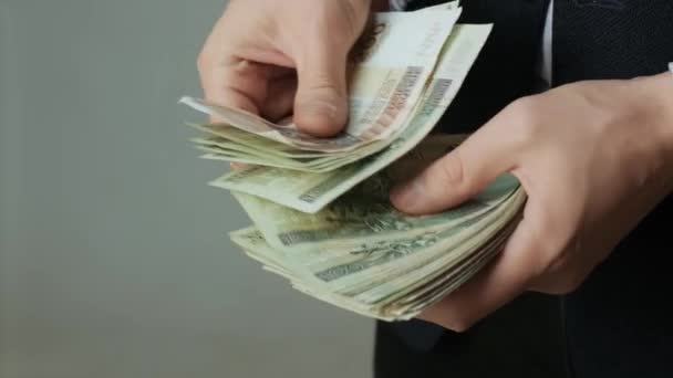 Miesten kädet laskevat nopeasti setelit. Liikemies laskee käsissään olevat Puolan zlotyn setelit. zlotya - Materiaali, video